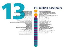 Chromosome 13 Chromosome Human Genome Dna Research