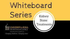 Kidney Stones University Of Iowa Hospitals Clinics