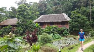 Pan Hou Village Picture Of Ecolodge Panhou Village Ha Giang Tripadvisor