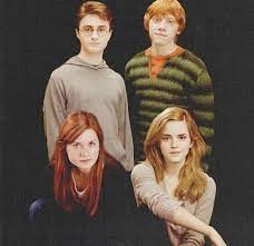 Harry Potter, Ron Weasley Ginny Weasley and Hermione Granger | Harry and  ginny, Harry potter films, Harry potter movies