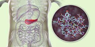 Ketotic hypoglycemia is a medical term used in two ways: Glycogen And Diabetes Role Storage Release Exercise