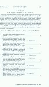 Image result for Buchnera usuiensis