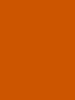 burnt orange cc5500 hex color