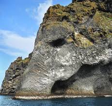 Elephant rock is a natural rock formation on the westman islands of iceland, clearly resembling the head of a giant elephant submerging his trunk underwater in an attempt to quench its thirst. Elephant Rock Tour Visit Westman Islands Ferry Herjolfur To Vestmannaeyjar