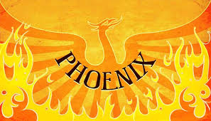 The phoenix bird after 500 years of it's life it used to burn itself into ashes and then from the ashes a little phoenix bird is born. Phoenix Bird Facts And History Gk For Kids Mocomi