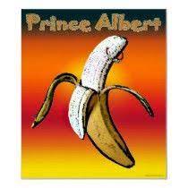 prince albert gifts prince albert prince albert piercing piercing