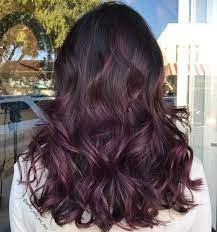 Black Hair With Subtle Purple Balayage Ombre Hair Color Burgundy Hair Hair Color Highlights