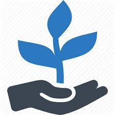 3,000+ vectors, stock photos & psd files. Image Result For Business Startup Growth Plant Start Up Icon