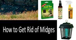 How to get rid of midges. 10 Ways To Get Rid Of Midges 10 Best Repellents Insect Killers 2021