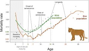 We did not find results for: Comparative Analyses Of Longevity And Senescence Reveal Variable Survival Benefits Of Living In Zoos Across Mammals Scientific Reports