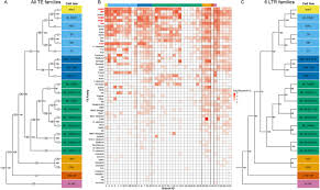 Animal cell culture is an important laboratory technique in the biological and medical sciences. Transposable Element Profiles Reveal Cell Line Identity And Loss Of Heterozygosity In Drosophila Cell Culture Biorxiv