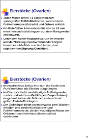 Check spelling or type a new query. Aufbau Und Funktion Der Weiblichen Geschlechtsorgane Pdf Free Download