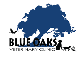 Bird and pet clinic of roseville reviews. Blue Oaks Veterinary Clinic Roseville Ca Veterinarian