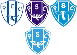 Veja todos os símbolos do paysandu: Escudos Gino Paysandu Sc