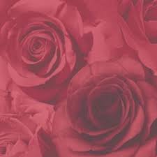Your gaze is automatically drawn to the wallpaper: Madison Large Rose Wallpaper Love Blue Red Pink Beige Bloom Flower
