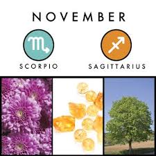 Birth Signs And Symbols What To Expect Birth Month Symbols Birth Symbols Birth Month Flowers