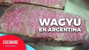 Kobe eti ya da kobe bifteği, japonya'nın wagyu bölgesinde yetişen hayvanlarından elde ediliyor. El Autentico Wagyu Japones Llega A Argentina Es La Carne Mas Rica Del Mundo Youtube