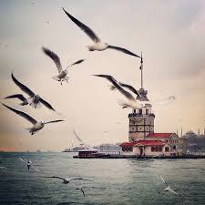 Zumrud U Anka Ucar Senin Bakislarinda Benim Ruyalarimda Birkac Deli Guvercin Nurullah Genc Istanbul Fotograf Yolculuk