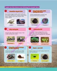 Haiwan mempunyai pelbagai bentuk anggota badan seperti berekor, berbelalai, berkepak, berkaki, tidak berkaki, berbentuk silinder, bertanduk dan berparuh. Page 9 Focus Visual Upsr Sains