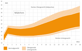Die aircondition soll repariert werden. Der Bmi Rechner Das Gewicht Im Blick