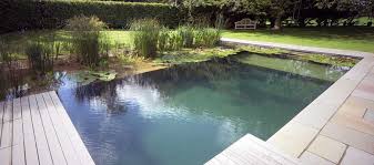 La Piscine Naturelle Est Elle Faite Pour Vous