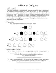 This is related to pedigree worksheet 3. 30 Pedigree Worksheet Interpreting A Human Pedigree Free Worksheet Spreadsheet