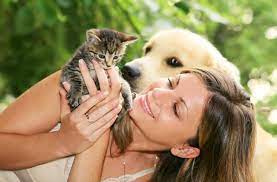 Dog People Vs Cat People Who S More Intelligent Live Science