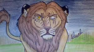 Here you can explore hq lion drawing transparent illustrations, icons and clipart with filter setting like size, type, color etc. Semi Realistic Lion Drawing Artculture Amino