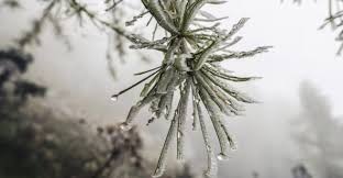 Inmet emite alertas de chuva intensa e geada para esta terça-feira
