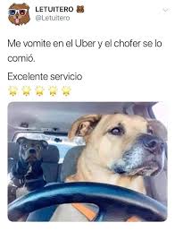 Diy Gartenprojekte 101 Diy Ideen Zur Aufwertung Ihres Gartens Garden Projects Diy Garden Projects Diy Garden Bed Diy Garden Decoration Baumhaus Architekt