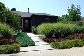 Drama With Grasses Garden Landscape Design Modern Landscaping Privacy Landscaping