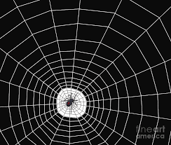 If your porch is relatively dry, there's a much better. Black Widow Spider Web Digital Art By Methune Hively