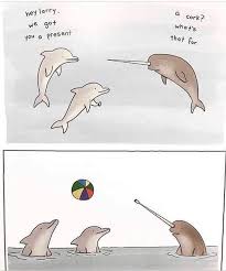 Reddit The Front Page Of The Internet Funny Animal Comics Cute Comics Cute Funny Animals