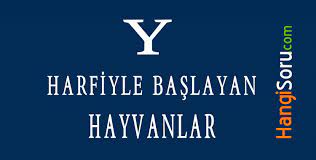 y harfiyle baslayan hayvanlar listesi hayvanlar hayvan bilgi
