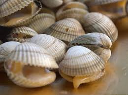 Coque Baie De Somme Cuisine Francaise