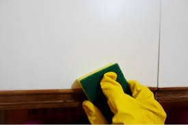 Using coconut oil in place of other household products not only downsizes the number of potentially toxic materials in your home—it can also save you money. Best Way To Clean Your Kitchen Cabinets Without Hurting Them Grapes And Splendor