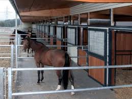 Rower Rub Equine Barns Runouts Cheval Ecurie Cheval Pratique