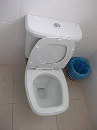 Older toilets waste tons of water, using around 3.5 gallons per flush. Dual Flush Toilet Wikipedia