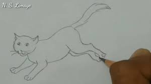 I like to find the simplest way to complete drawings so i can keep my confidence at a reasonably high level. How To Draw A Running Cat In Easy Way Step By Step For Beginners By N S Limaye Sart Youtube