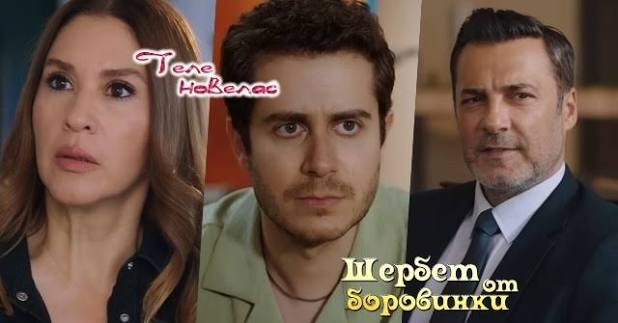 Утре в "Шербет от боровинки": Емир грубо обижда Кавълджъм; Бора разкрива  аферата си с Елиф пред; Йомер признава, че харесва (26 август)  https://tvnovellas.blogspot.com/2026/08/26_0257599367.html