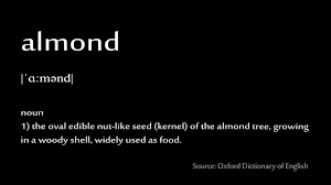 Break 'almond' down into sounds: How To Pronounce Almond Youtube