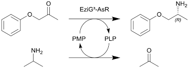 Also, as a bonus, the course is simply a lot of fun. The Rise Of Continuous Flow Biocatalysis Fundamentals Very Recent Developments And Future Perspectives Reaction Chemistry Engineering Rsc Publishing