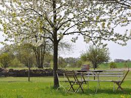 Landhaus Am See Uckermark Pinnow Fruhling Im Garten Foto Andrea Ribbers Landhaus Haus Ferienwohnung