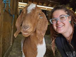 What therapeutic activities can be done with kids and goats or mini ponies  for social emotional learning?