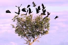 Muestras fotográficas en la Casa del artista plástico de Rosario : :  Mirador Provincial : : Noticias de Santa Fe