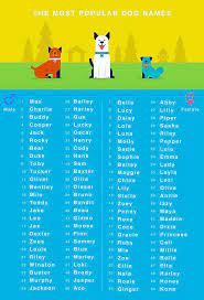After all, this is a name that. Dog Names Dogs Dog Names Dogs Cute Names For Dogs Popular Dog Names Big Dog Names