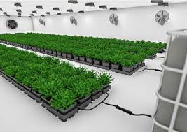 Simply put, you'll have your channels where the nutrients will run down in a thin film along the bottom of the channel. Gro Tank Gt424 Nft System Hydroponic Irrigation Systems Nutriculture Hydroponics Maxgrowshop Com