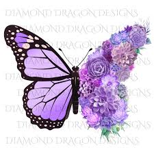 Funny animals is the soures of the,funny animal pics,funny animal photos,funny pictures of animals,cute funny animals. Butterflies Succulent Butterfly Monarch Butterfly Watercolor Butterfly Light Purple Full Succulent Waterslide