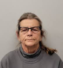 Chatham County arrest blotter: January 2022