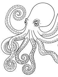 To print the coloring page: Pin On Color